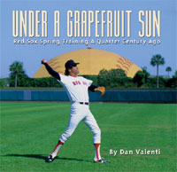 Under A Grapefruit Sun book