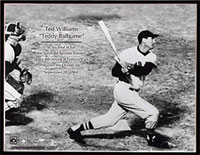 Ted Williams last at bat