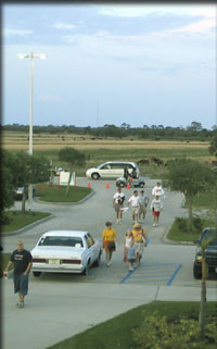 Space Coast Stadium