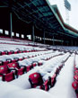 Festive Fenway greeting card